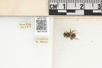 Media type: image;   Entomology 774176 Aspect: Labels